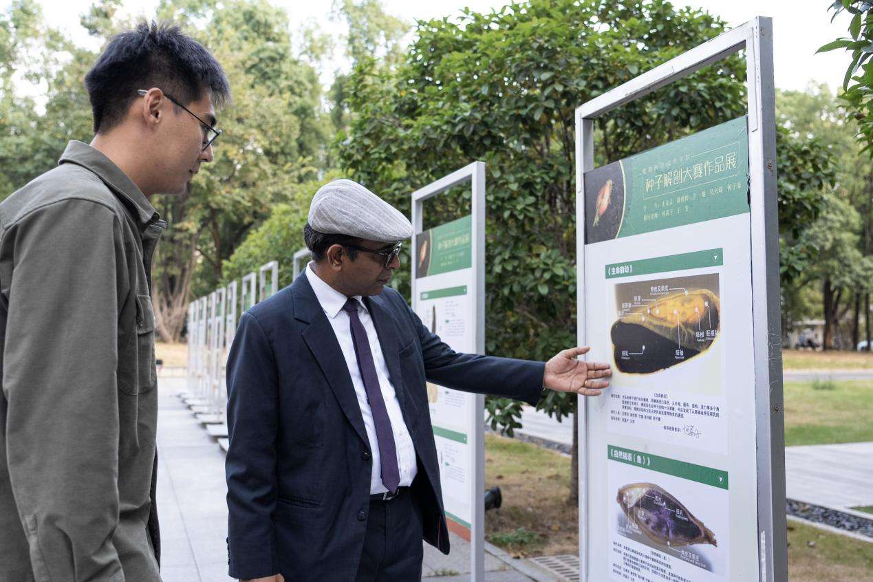 聚首国粮农组织驻中国代理代表维诺德参不雅种子剖解作品展（学通社记者 郎一阳 摄）