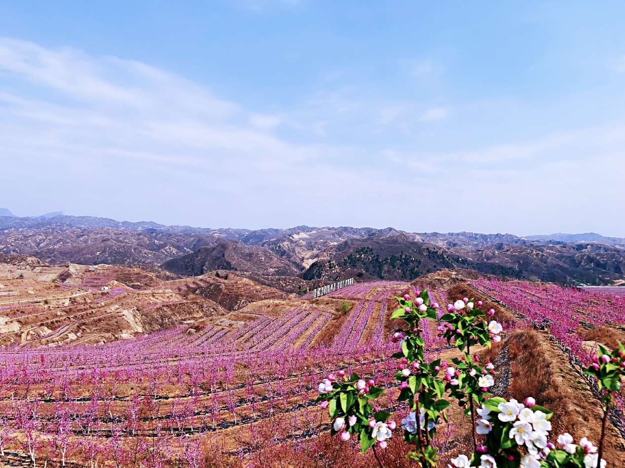 阜平县史家寨村图片